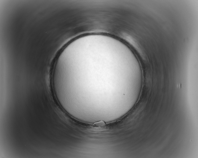 X0000088221460200705292103