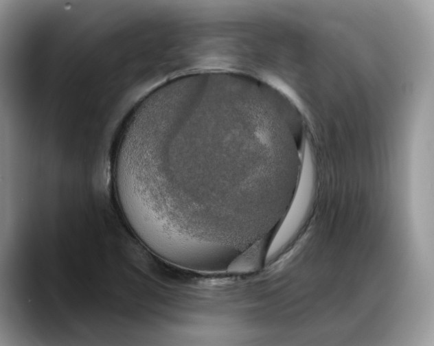 X0000088221461200705292103