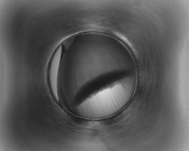 X0000088221463200705292103