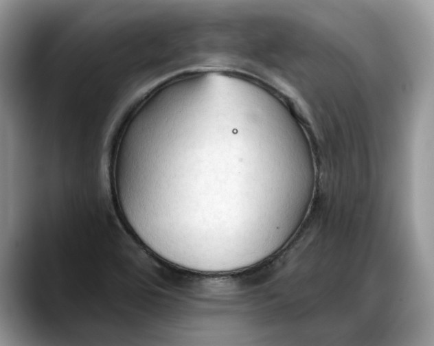 X0000088221464200705292103