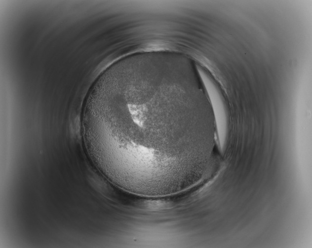 X0000088221465200705292103