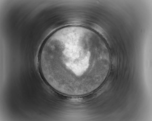 X0000088221466200705292103