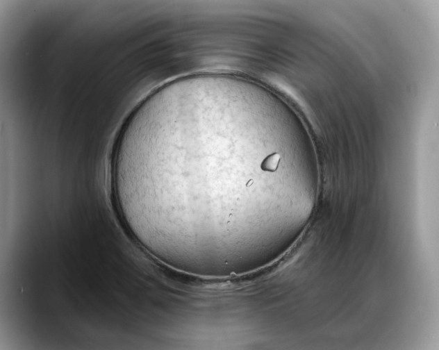 X0000088221467200705292103