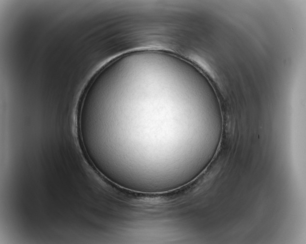 X0000088221468200705292103