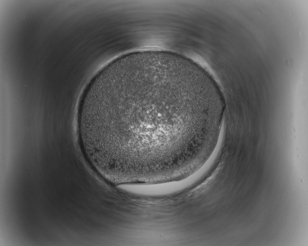 X0000088221469200705292103