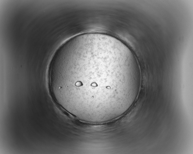 X0000088221471200705292103