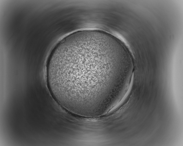 X0000088221472200705292103