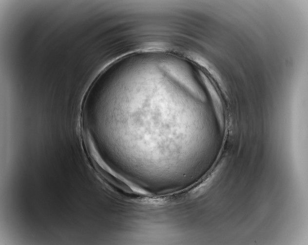 X0000088221473200705292103