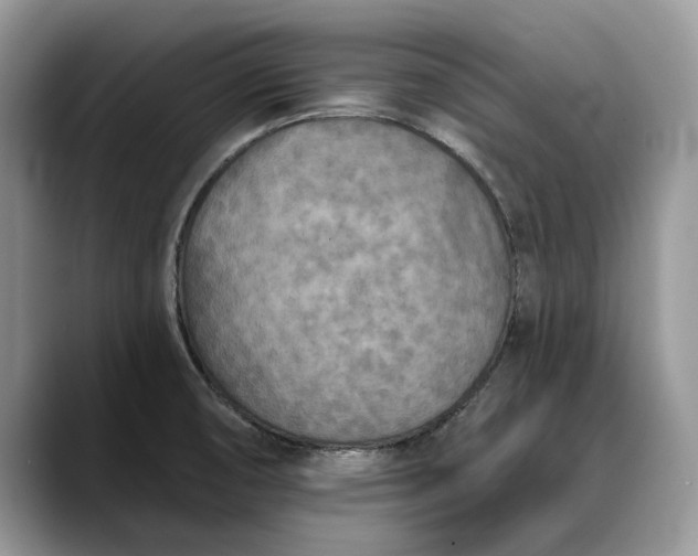 X0000088221474200705292103