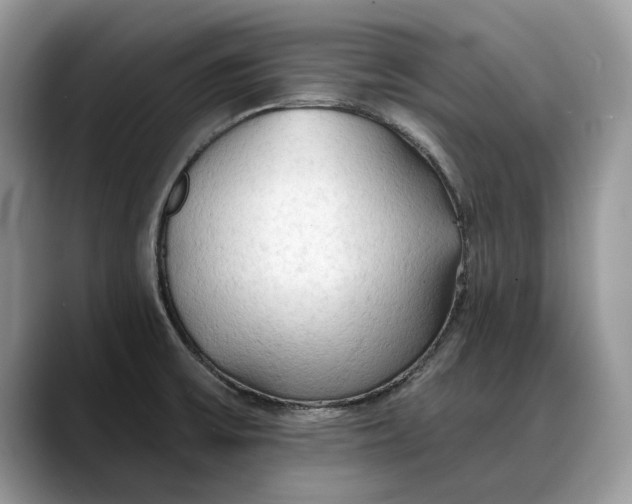 X0000088221475200705292103