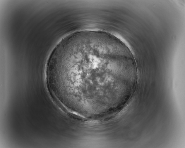 X0000088221477200705292103