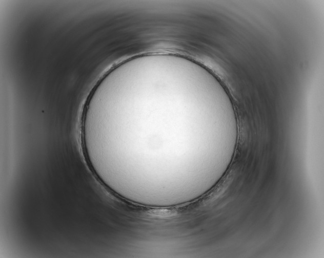 X0000088221478200705292103