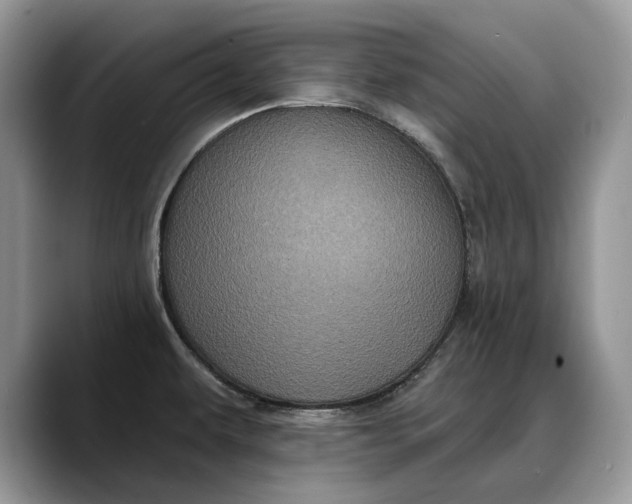 X0000088221479200705292103