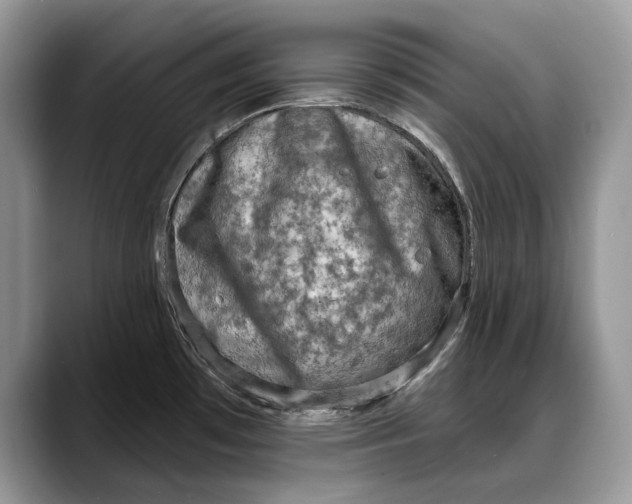 X0000088221481200705292103