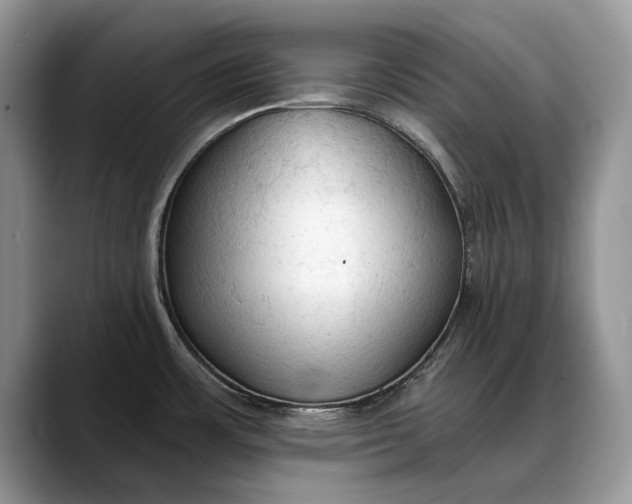 X0000088221483200705292103