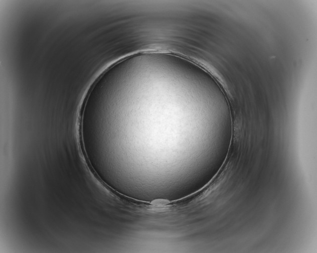 X0000088221484200705292103