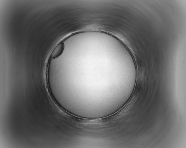 X0000088221486200705292103