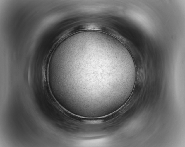 X0000088221487200705292103