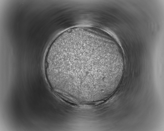 X0000088221488200705292103