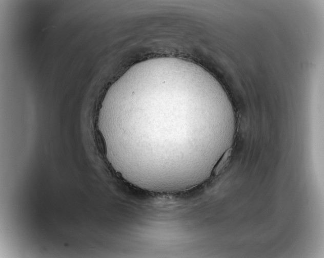 X0000088221489200705292102