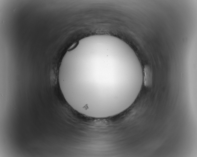 X0000088221491200705292102