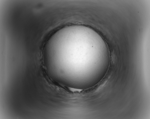 X0000088221494200705292102