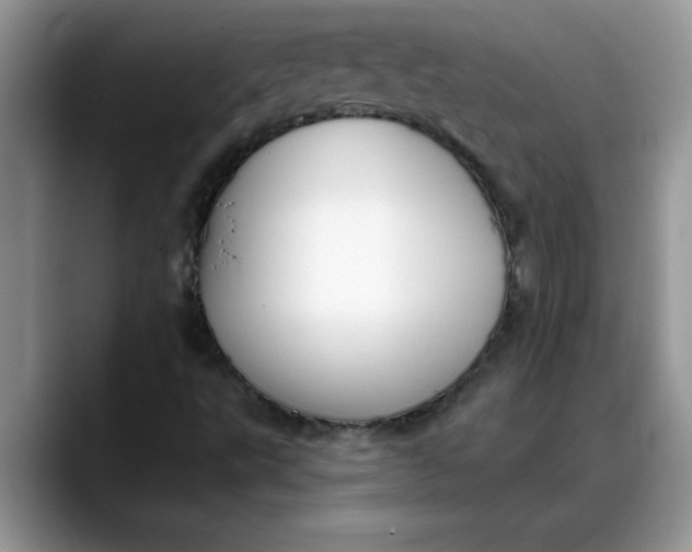 X0000088221495200705292102