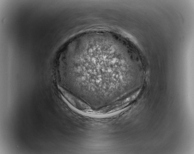 X0000088221496200705292102