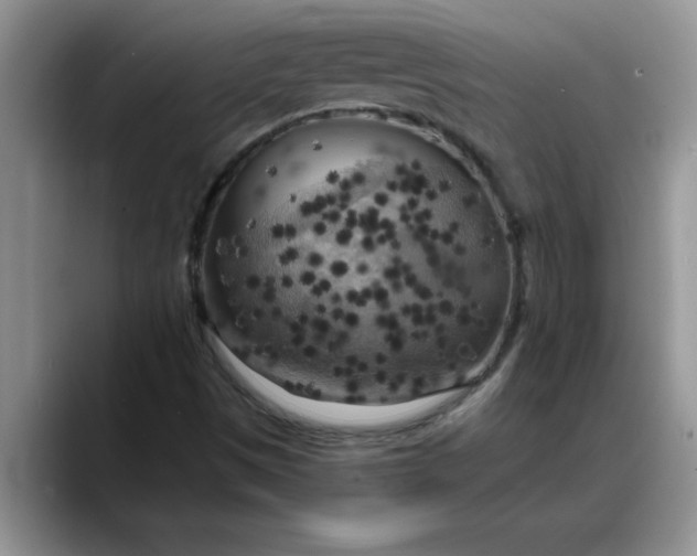 X0000088221497200705292102