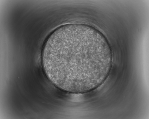 X0000088221498200705292102