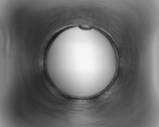 X0000088221499200705292102