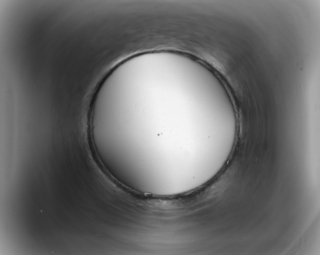 X0000088221500200705292102