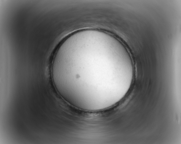 X0000088221501200705292102