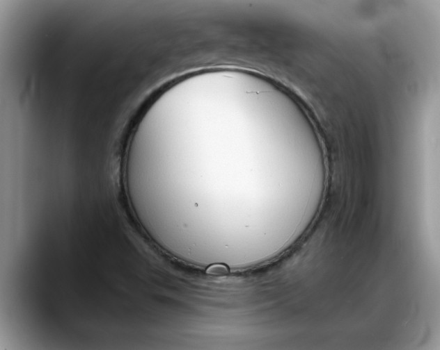 X0000088221503200705292102