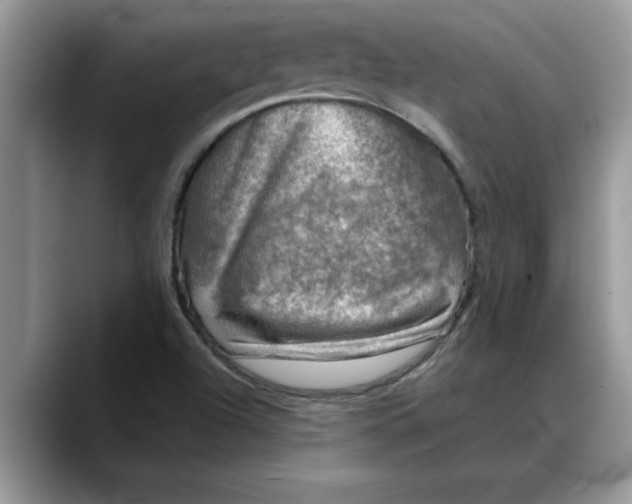 X0000088221504200705292102