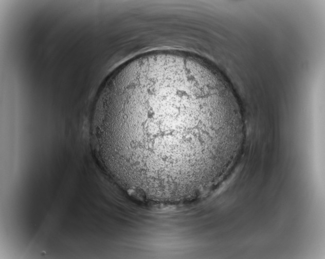 X0000088221505200705292102