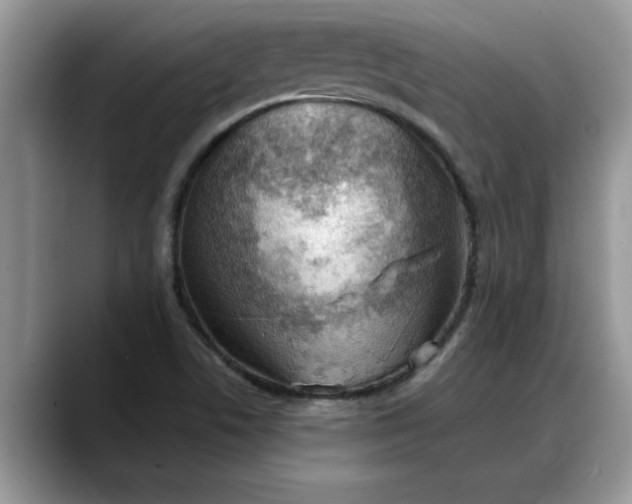 X0000088221506200705292102