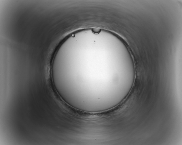 X0000088221507200705292102