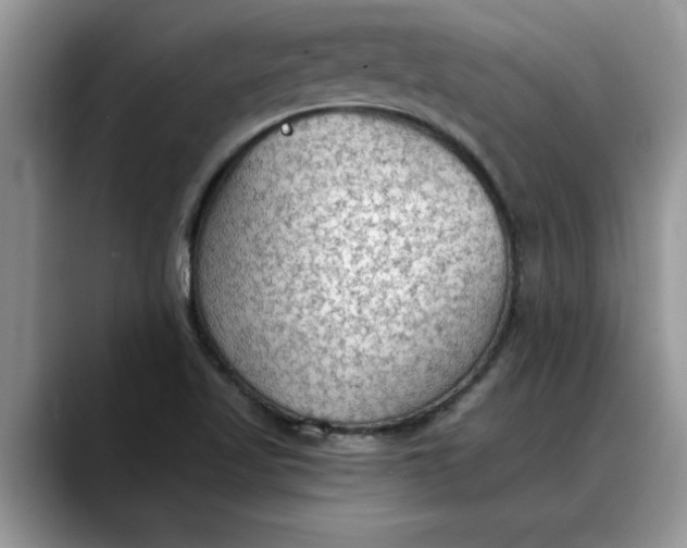 X0000088221509200705292102