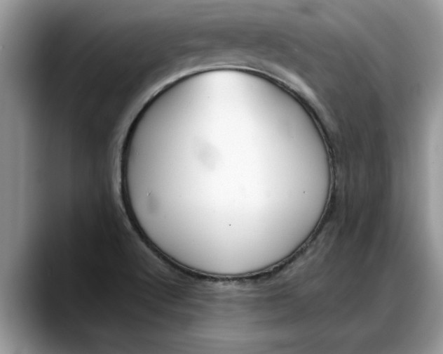 X0000088221512200705292102