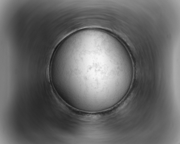 X0000088221513200705292102