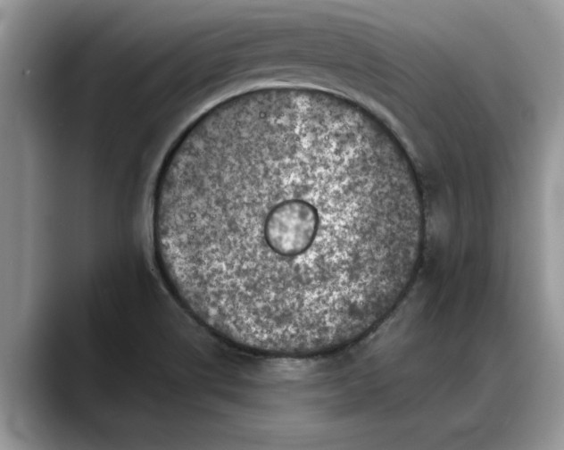 X0000088221514200705292102