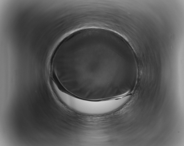 X0000088221515200705292102