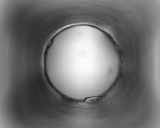 X0000088221516200705292102