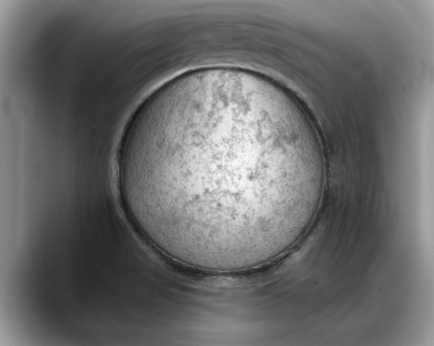 X0000088221517200705292102