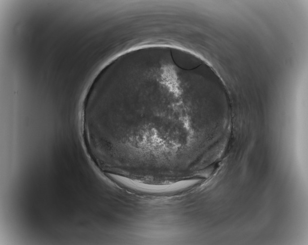 X0000088221519200705292103