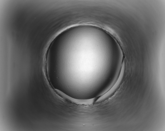 X0000088221520200705292103