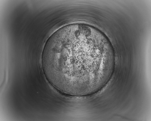 X0000088221521200705292103