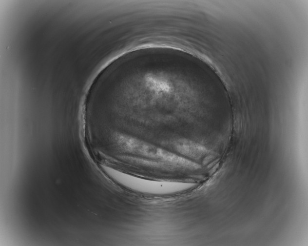 X0000088221522200705292103