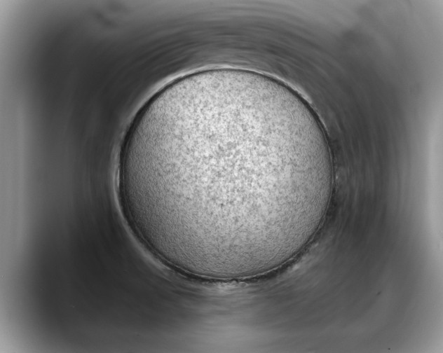 X0000088221523200705292103